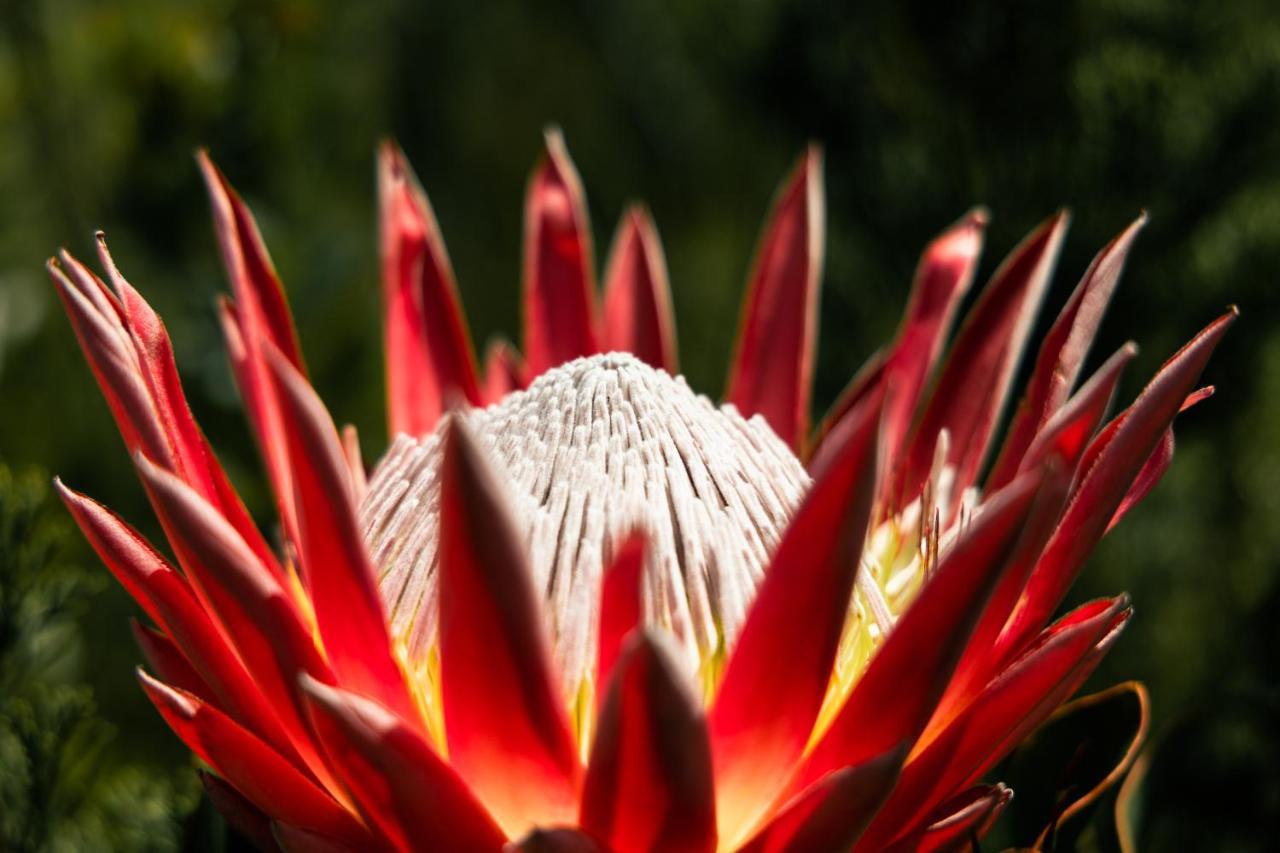 Highlandsview Villa Swellendam Kültér fotó
